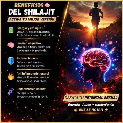 Resina orgánica pura del Himalaya SHILAJIT 100g