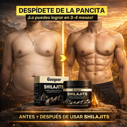 Resina orgánica pura del Himalaya SHILAJIT 100g