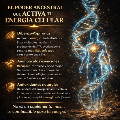 Resina orgánica pura del Himalaya SHILAJIT 100g